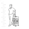Maleta grande Essential Trunk Plus Maleta grande Essential Trunk Plus